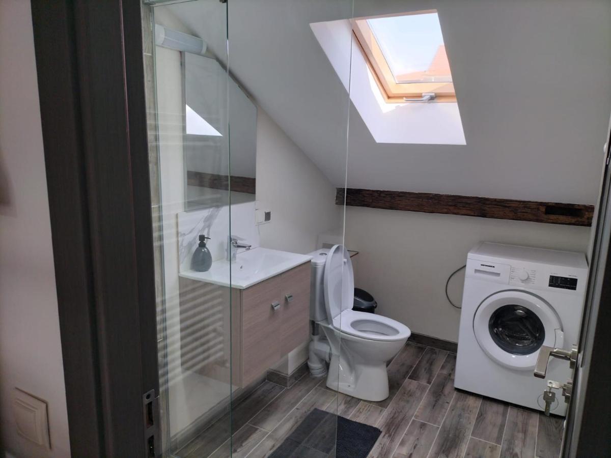 Cozy Loft Apartament Sighetu Marmaţiei 외부 사진